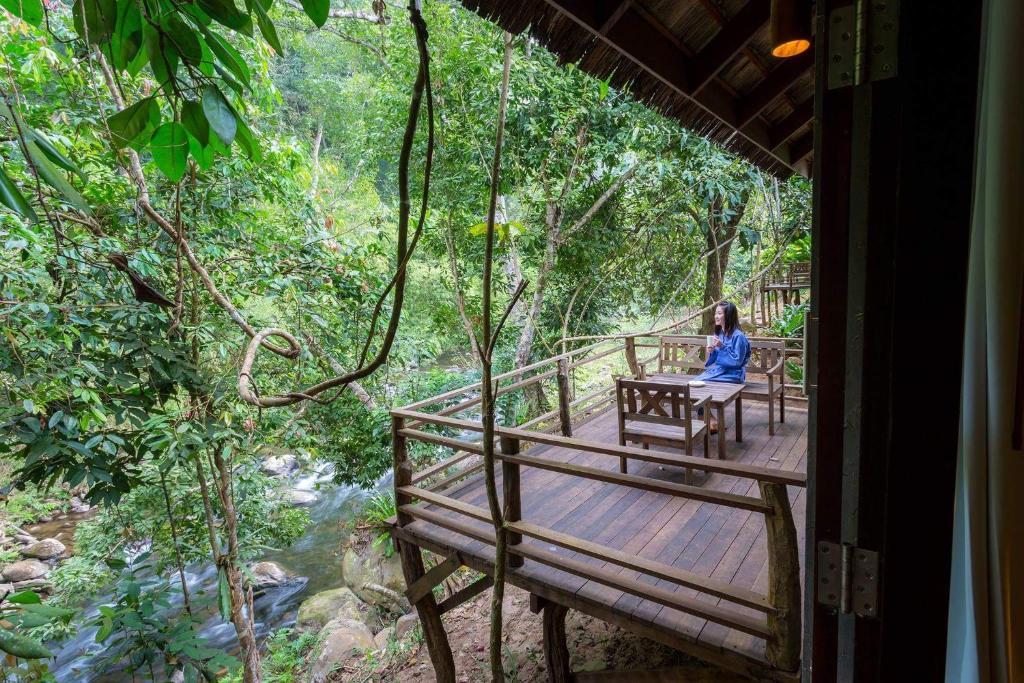 Live in the canopy—Laos glamping redefined
